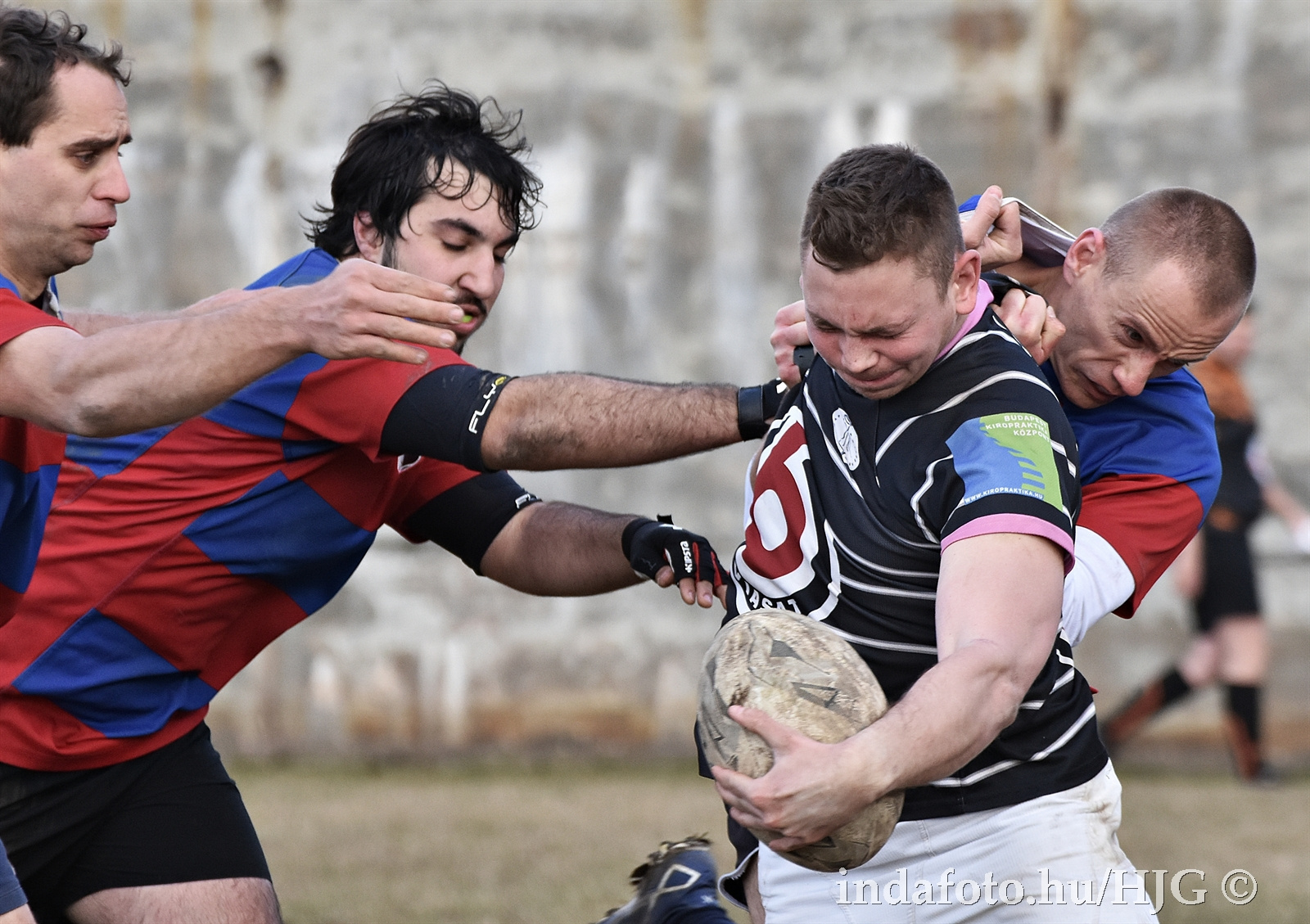 Továbbra is veretlenek a Fehérvári Vadkanok a rögbibajnokságban